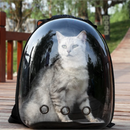 Mochila transpirable para transportar mascotas: viaje seguro para gatos