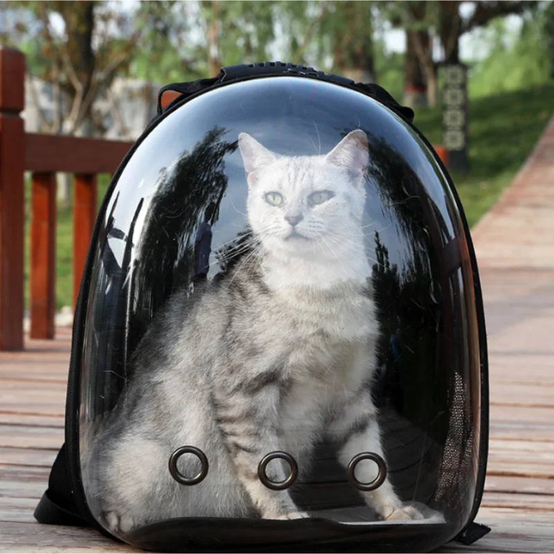 Mochila transpirable para transportar mascotas: viaje seguro para gatos