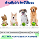 Pelota de juguete interactiva para perros SmartGiggle